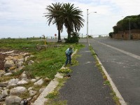 Simon’s Town