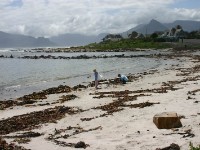 Simon’s Town