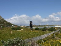 Cape of Good Hope NR