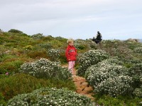 Cape Point