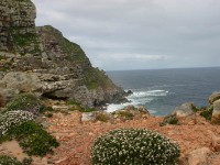 Cape Point
