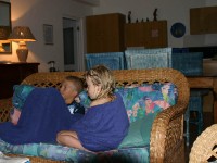 Avian Leisure in Simon’s Town