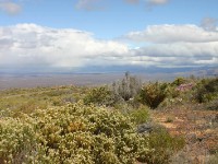 Tanqua Karoo