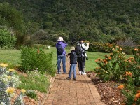 Kirstenbosch National Botanical Garden
