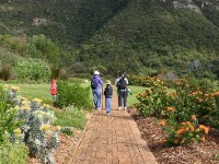 Kirstenbosch National Botanical Garden