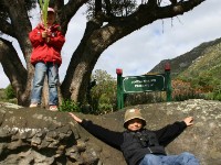 Kirstenbosch National Botanical Garden