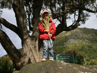 Kirstenbosch National Botanical Garden