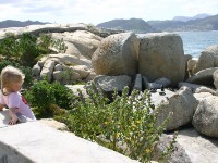 Boulder's Beach