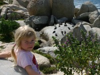 Boulder's Beach