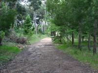 Tokai Arboretum