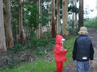 Tokai Arboretum