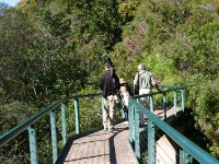 Harold Porter National Botanical Garden