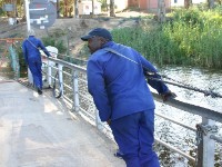 Malgas cable ferry
