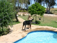 Skeiding Guest Farm
