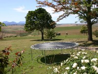 Skeiding Guest Farm