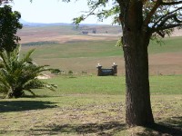 Skeiding Guest Farm