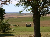 Skeiding Guest Farm
