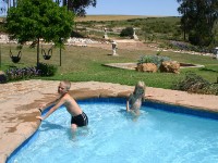 Skeiding Guest Farm