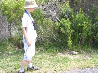 Cape of Good Hope NR