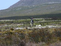 Cape of Good Hope NR