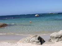 Boulder's Beach