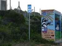 Boulder's Beach