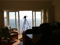 Avian Leisure in Simon’s Town