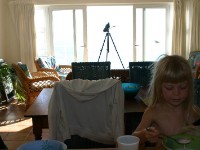 Avian Leisure in Simon’s Town