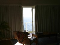 Avian Leisure in Simon’s Town