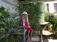 Avian Leisure in Simon’s Town