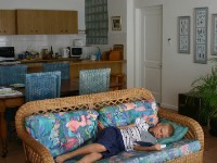 Avian Leisure in Simon’s Town