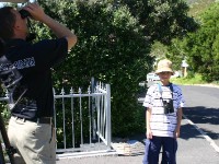 Avian Leisure in Simon’s Town