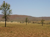 Pilanesberg