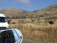 Pilanesberg