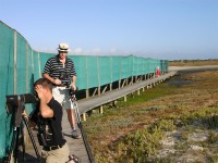 West Coast NP