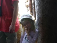 Inside Baobab Tree
