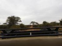 Lake Mburo NP
