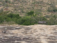 Rwakobo Rock