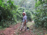 Ruhija Bwindi