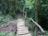 Ruhija Bwindi