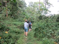 Mubwindi Swamp Ruhija