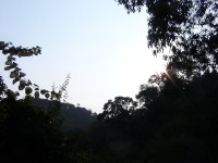 Ruhija Bwindi