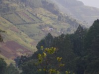Ruhija Bwindi