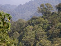Ruhija Bwindi