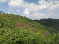 Ruhija Bwindi