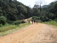 The Neck Bwindi