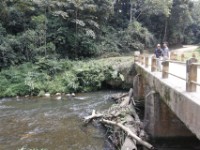 The Neck Bwindi