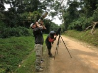 The Neck Bwindi
