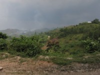 Buhoma Bwindi