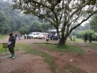 Gorilla Trekking